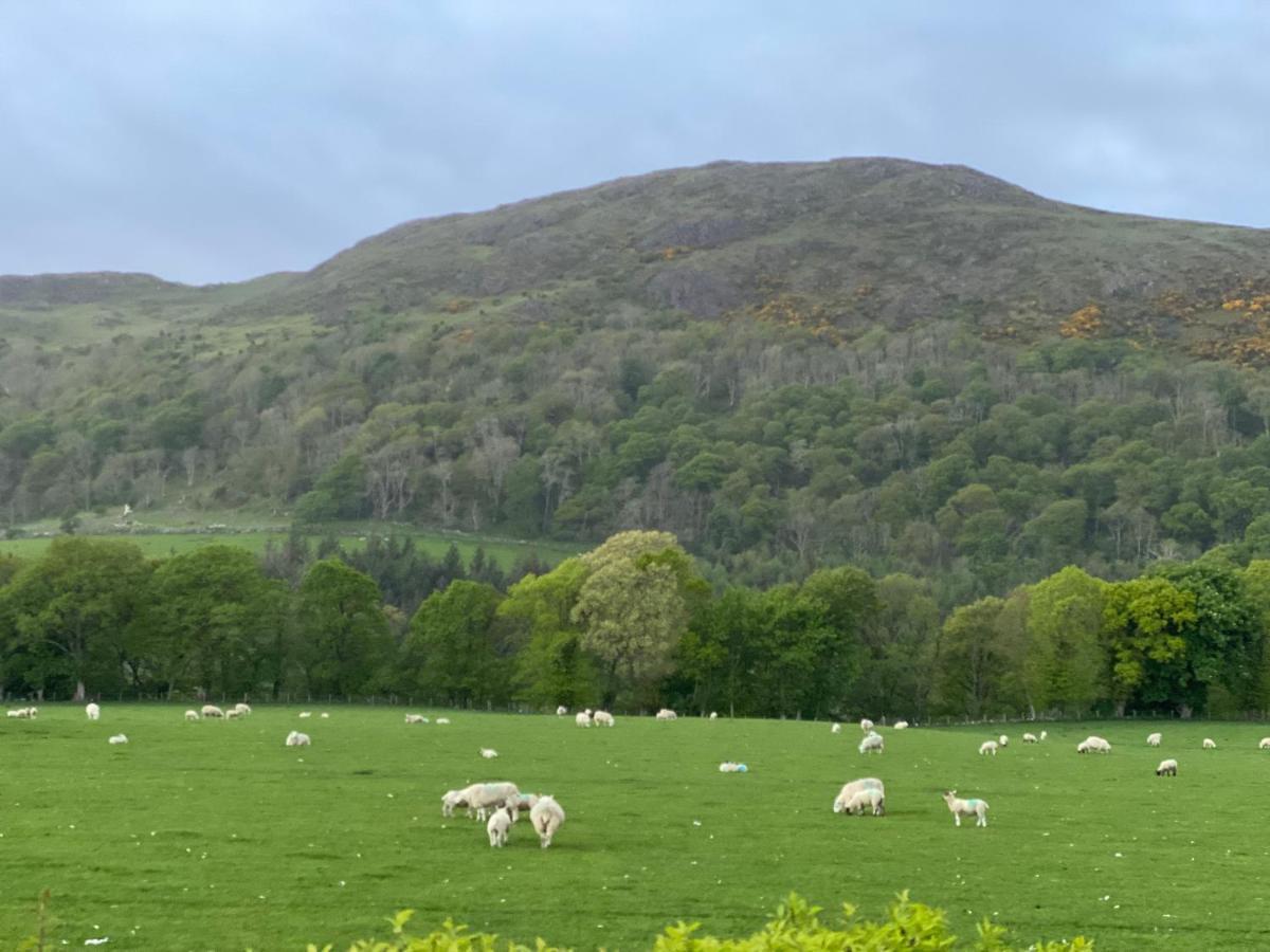 Tig Cottage - A Rural, Quirky, Pet Friendly 2 Bedroom Cottage Near Ballantrae エクステリア 写真