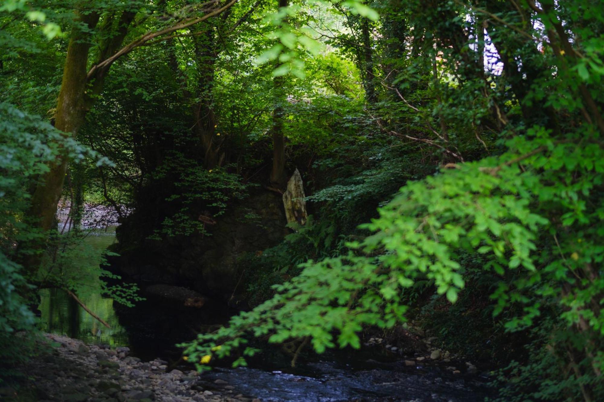 Tig Cottage - A Rural, Quirky, Pet Friendly 2 Bedroom Cottage Near Ballantrae エクステリア 写真