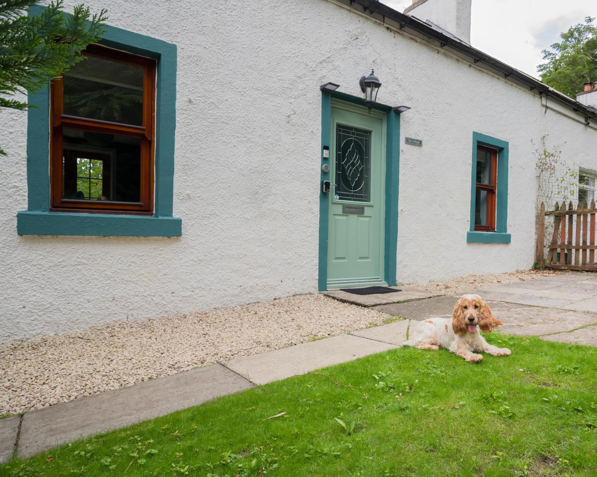 Tig Cottage - A Rural, Quirky, Pet Friendly 2 Bedroom Cottage Near Ballantrae エクステリア 写真